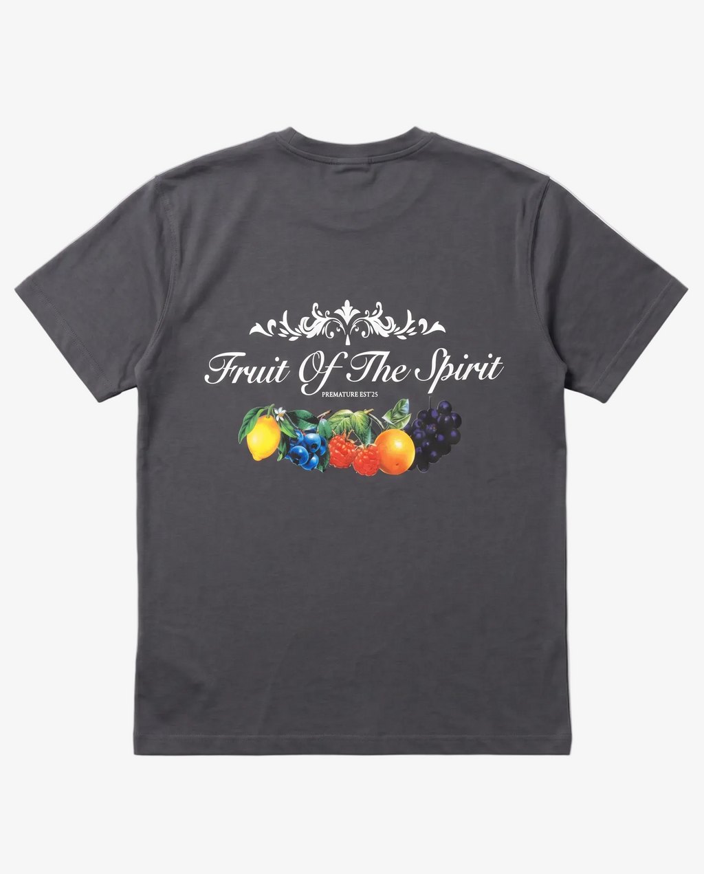 FRUIT OF THE SPIRIT T-SHIRT