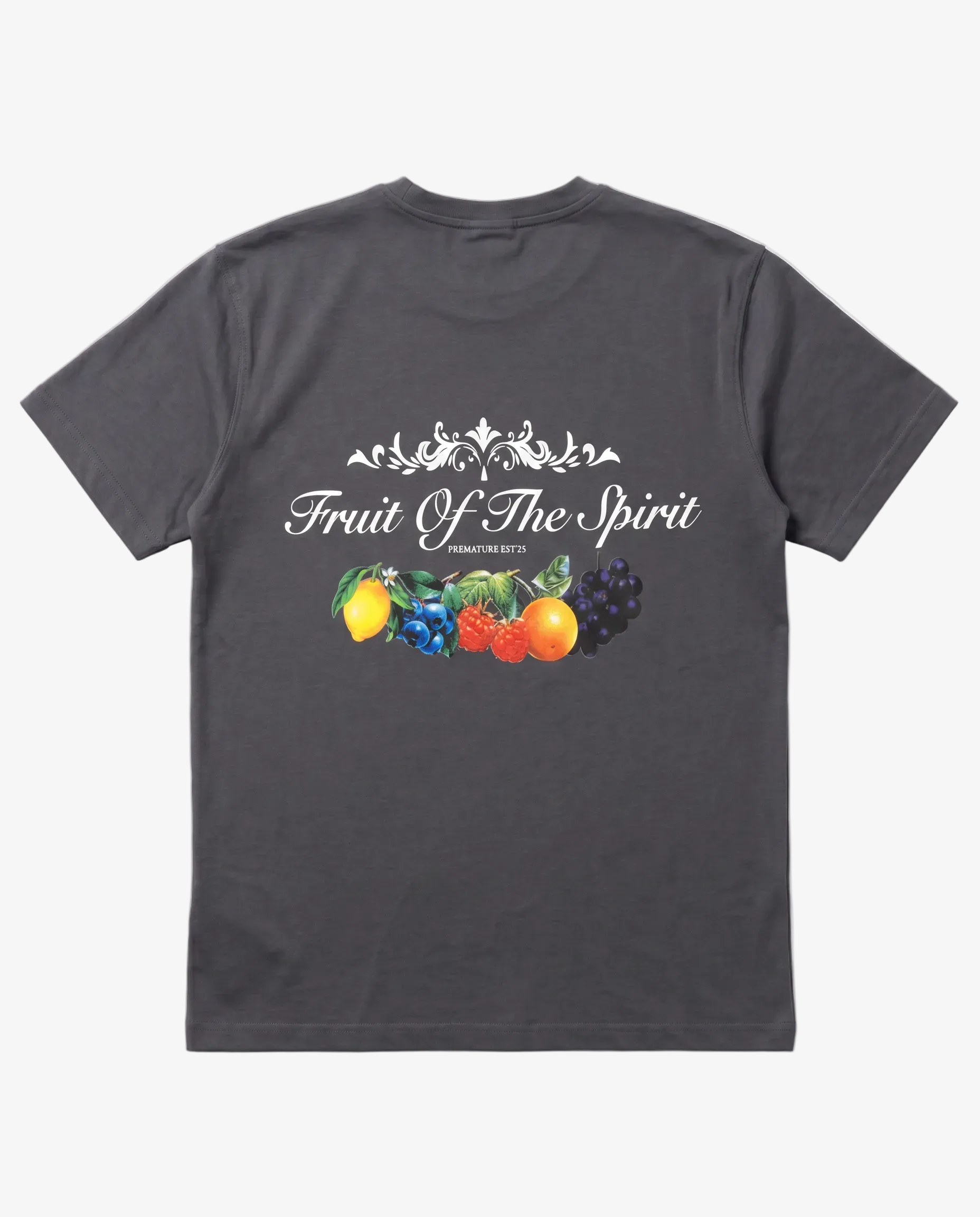 FRUIT OF THE SPIRIT T-SHIRT